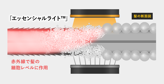 補修力を促進する赤外線エッセンシャルライト